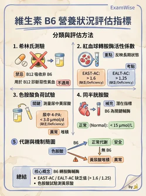 營養 - 生化指標與營養缺乏 - AI 圖文解析預覽