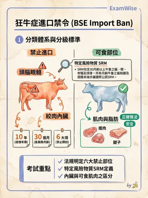 營養 - HACCP系統與食安法規 - AI 圖文解析預覽