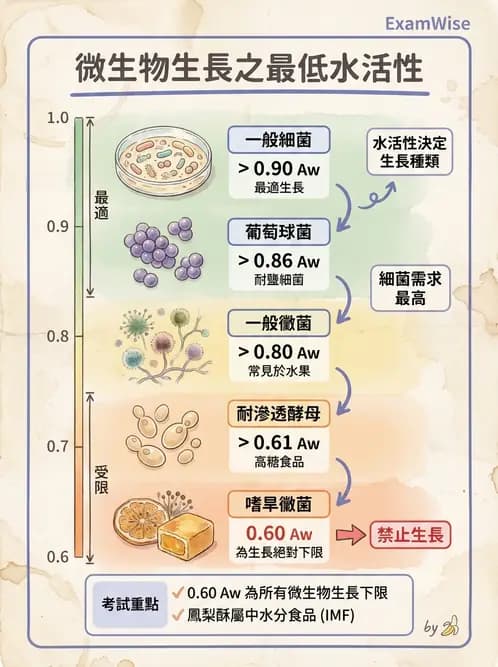 營養 - 食品腐敗微生物學 - AI 圖文解析預覽