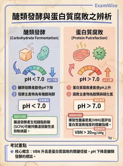 營養 - 食品腐敗微生物學 - AI 圖文解析預覽