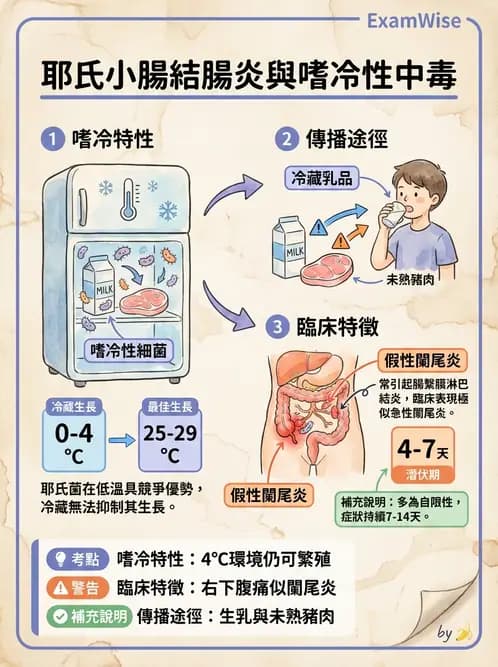 營養 - 食源性病原微生物 - AI 圖文解析預覽