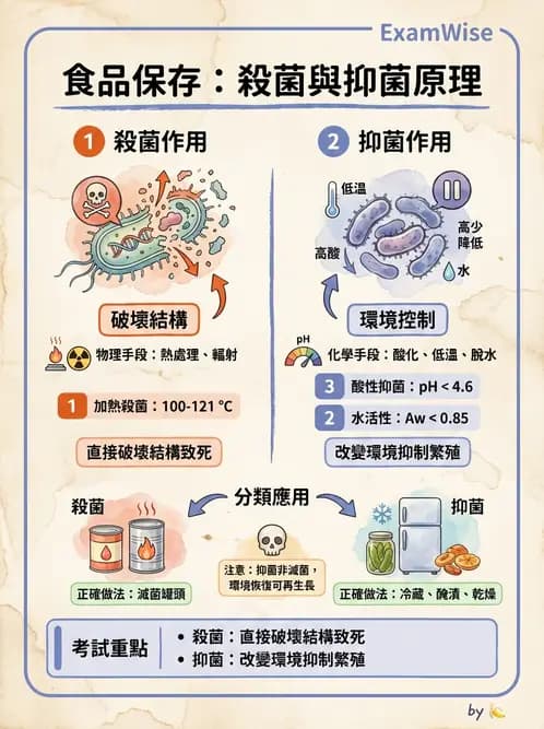 營養 - 食品腐敗微生物學 - AI 圖文解析預覽