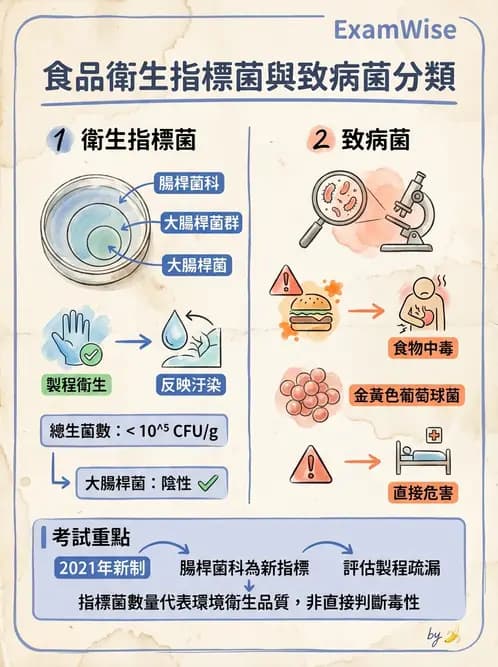 營養 - 食品腐敗微生物學 - AI 圖文解析預覽