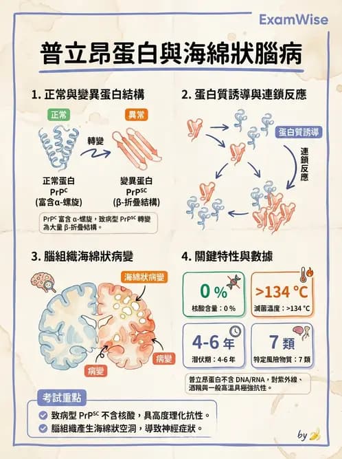 營養 - 生物性污染與寄生蟲 - AI 圖文解析預覽