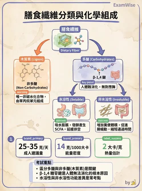 營養 - 醣類結構與膳食纖維 - AI 圖文解析預覽