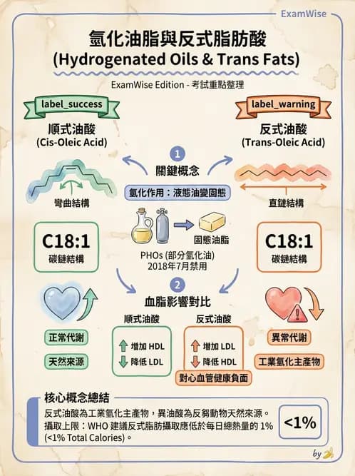 營養 - 脂肪酸種類與必需脂肪酸 - AI 圖文解析預覽