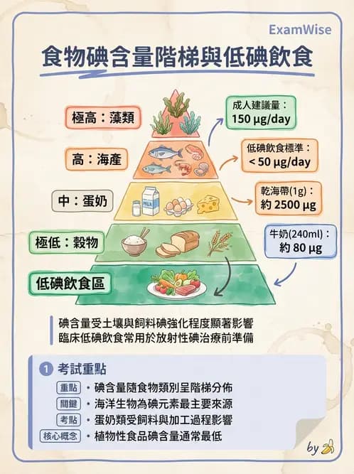 營養 - 碘與硒營養 - AI 圖文解析預覽