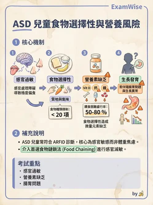 營養 - 兒童青少年與老年營養 - AI 圖文解析預覽