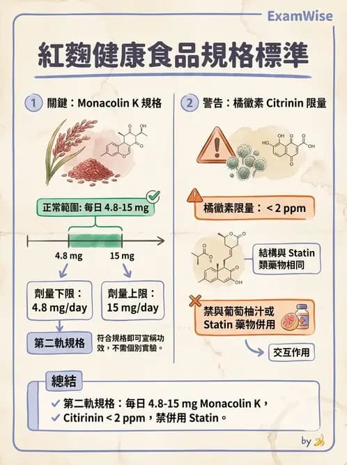 營養 - 當代營養學相關議題 - AI 圖文解析預覽