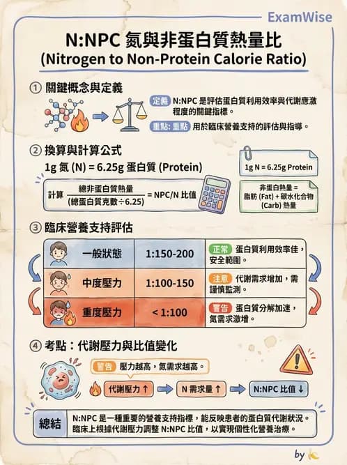 營養 - 營養支持 - AI 圖文解析預覽