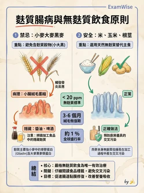 營養 - 腸胃道疾病 - AI 圖文解析預覽