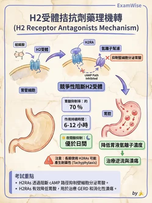 營養 - 腸胃道疾病 - AI 圖文解析預覽