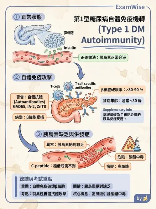 營養 - 糖尿病與代謝症候群 - AI 圖文解析預覽