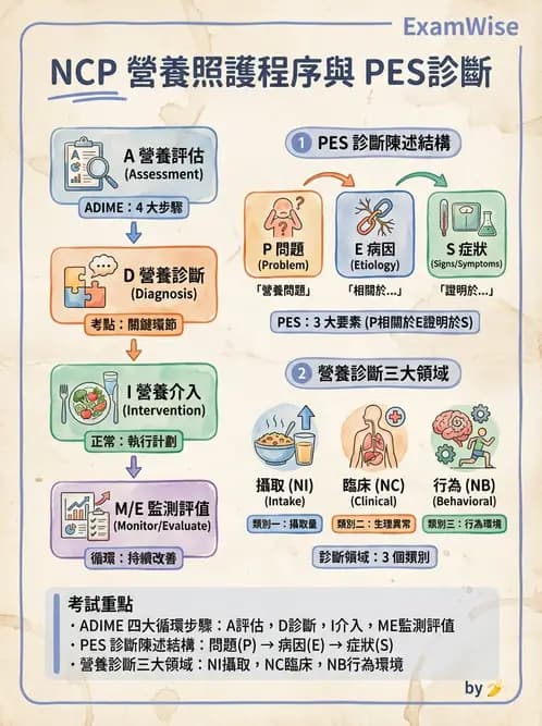 營養 - 營養評估與照護程序 - AI 圖文解析預覽