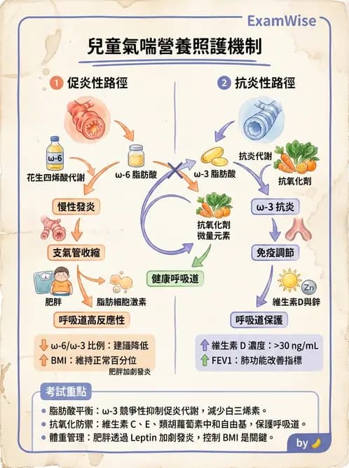營養 - 呼吸系統疾病 - AI 圖文解析預覽