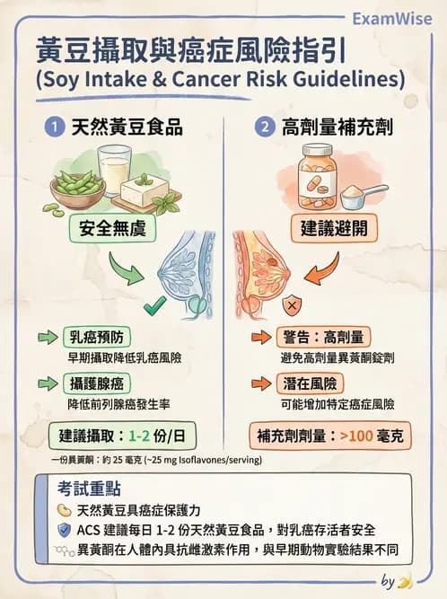 營養 - 癌症營養 - AI 圖文解析預覽
