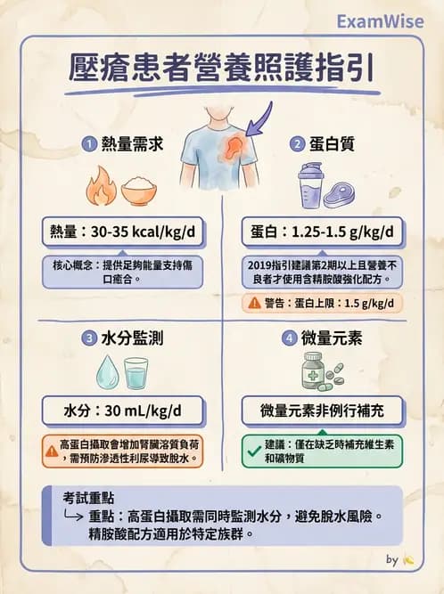 營養 - 老人營養與長期照護 - AI 圖文解析預覽