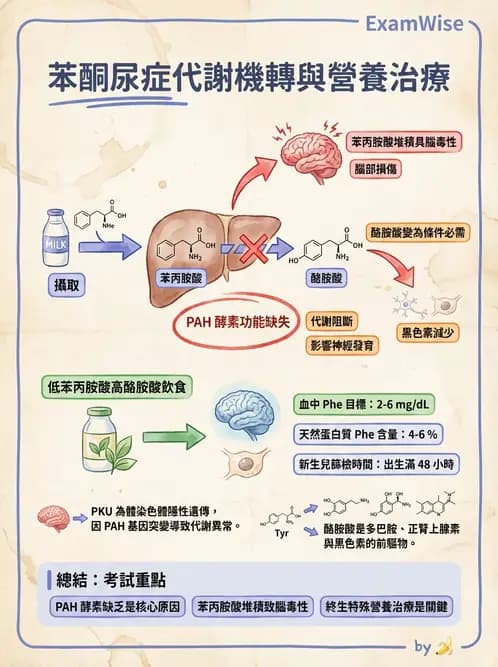 營養 - 嬰幼兒疾病營養 - AI 圖文解析預覽