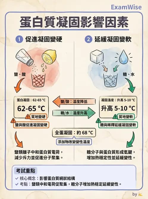 營養 - 動植物性食材製備原理 - AI 圖文解析預覽
