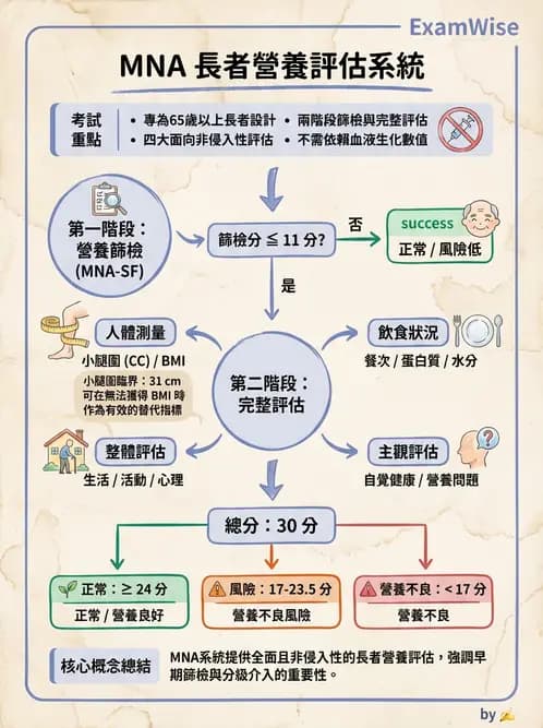 營養 - 營養篩檢與評估量表 - AI 圖文解析預覽