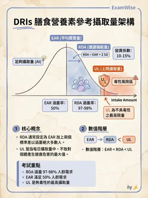 營養 - DRIs與飲食指南 - AI 圖文解析預覽