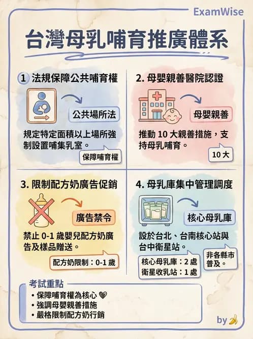 營養 - 母嬰與兒童營養政策 - AI 圖文解析預覽