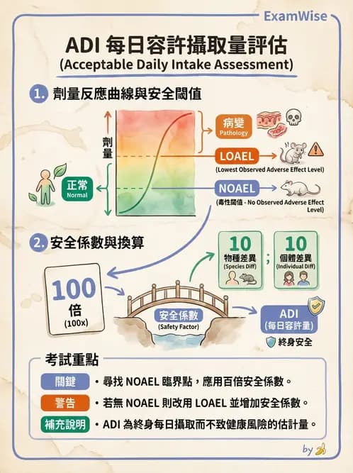 營養 - 食品安全性評估 - AI 圖文解析預覽