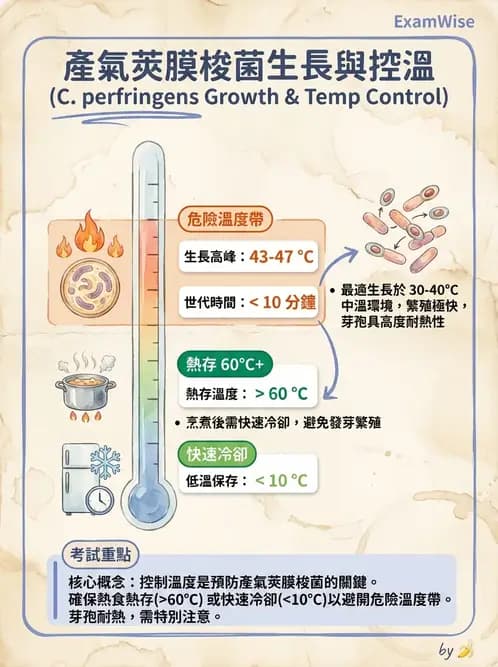 營養 - 食源性病原微生物 - AI 圖文解析預覽