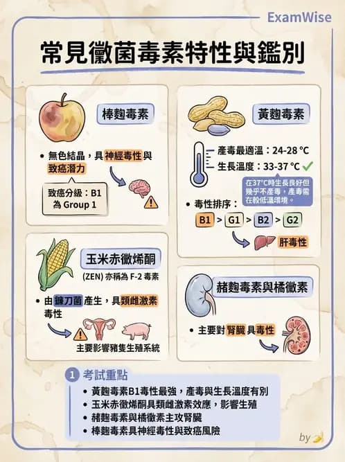 營養 - 天然毒素 - AI 圖文解析預覽