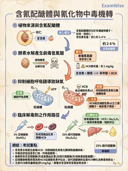 營養 - 天然毒素 - AI 圖文解析預覽