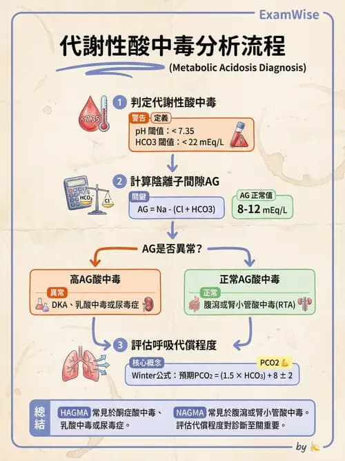 專師 - 酸鹼平衡 - AI 圖文解析預覽
