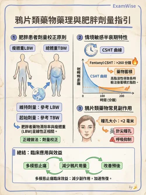 專師 - 術後疼痛控制 - AI 圖文解析預覽