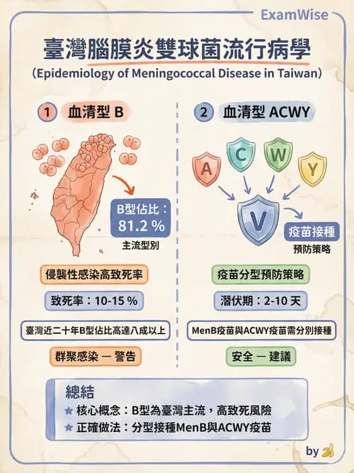 專師 - 中樞神經感染 - AI 圖文解析預覽