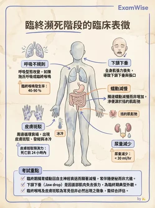專師 - 安寧緩和與臨終照護 - AI 圖文解析預覽