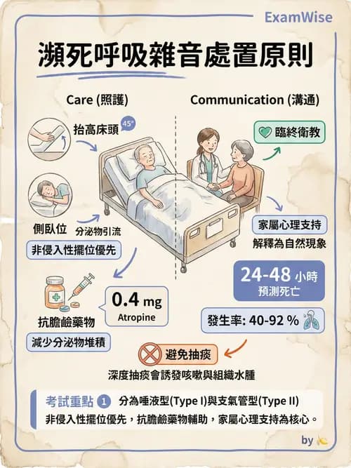 專師 - 安寧緩和與臨終照護 - AI 圖文解析預覽