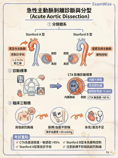 專師 - 主動脈疾病 - AI 圖文解析預覽