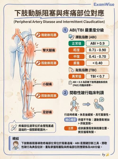 專師 - 周邊血管與靜脈疾病 - AI 圖文解析預覽