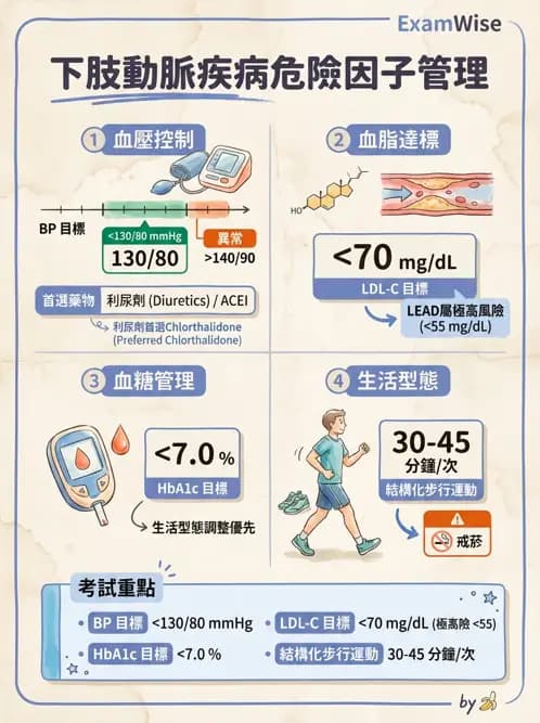 專師 - 周邊血管與靜脈疾病 - AI 圖文解析預覽