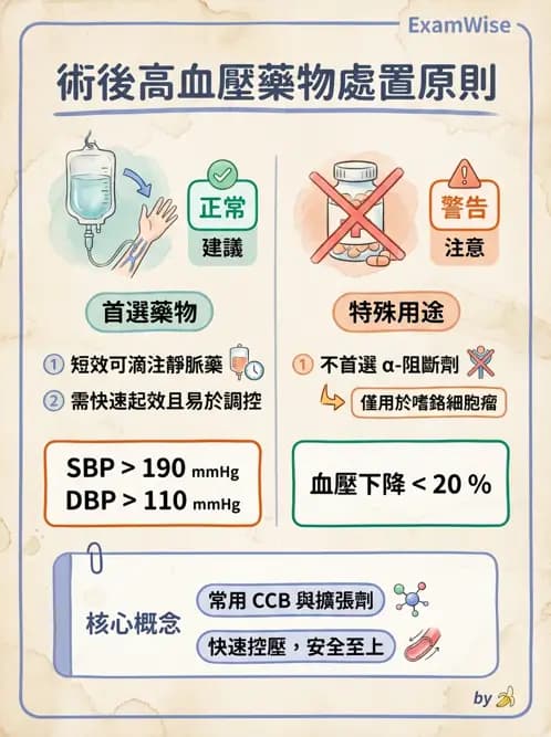 專師 - 麻醉與術後併發症 - AI 圖文解析預覽