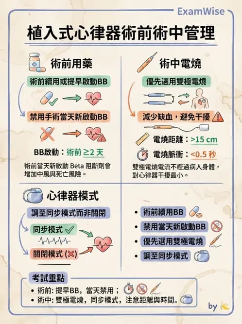 專師 - 心臟外科與介入 - AI 圖文解析預覽