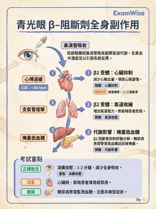 專師 - 眼耳鼻喉外科 - AI 圖文解析預覽