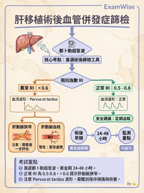 專師 - 肝腫瘤與肝臟手術 - AI 圖文解析預覽