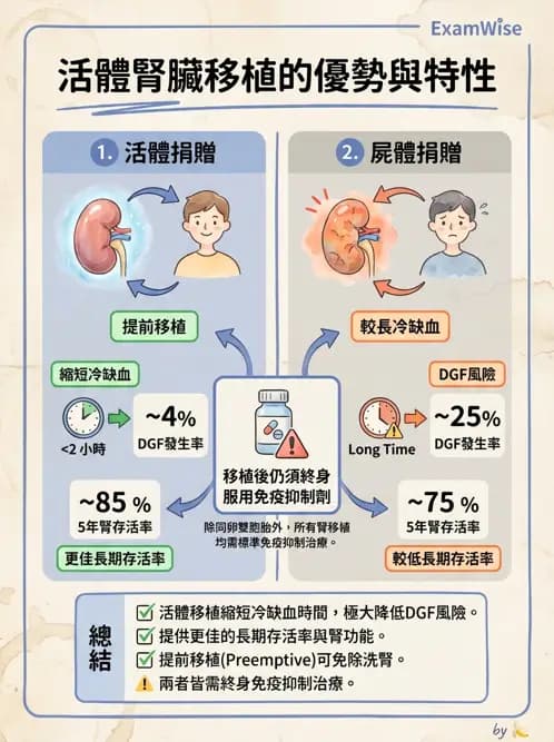 專師 - 腎臟移植 - AI 圖文解析預覽