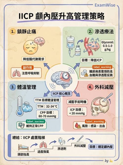 專師 - 頭部外傷與顱內壓 - AI 圖文解析預覽