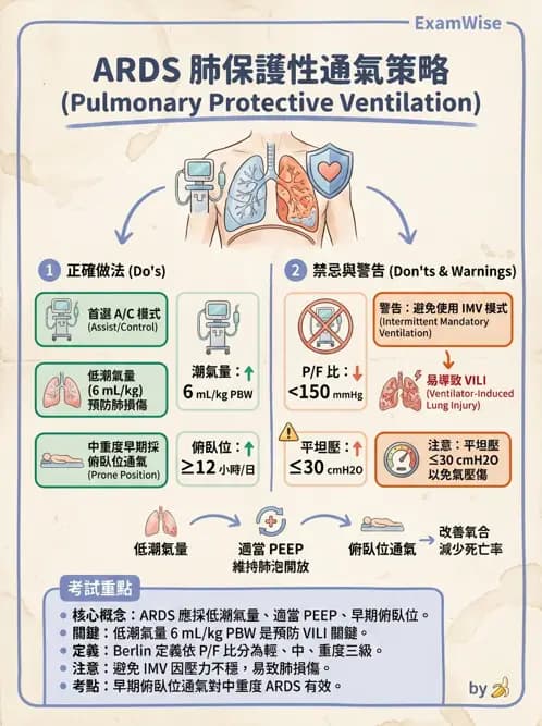 專師 - 呼吸治療與ABG - AI 圖文解析預覽