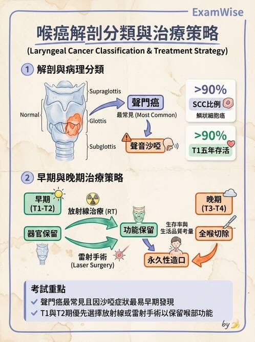 專師 - 頭頸腫瘤與甲狀腺 - AI 圖文解析預覽