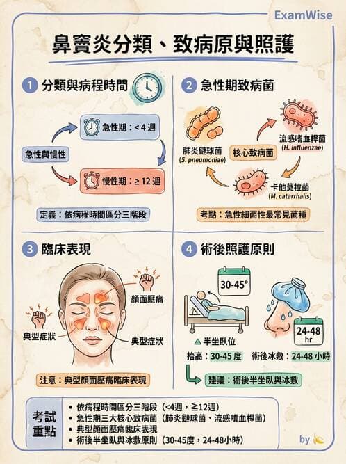 專師 - 眼耳鼻喉外科 - AI 圖文解析預覽