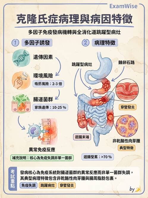 專師 - 闌尾炎與腸道外科 - AI 圖文解析預覽
