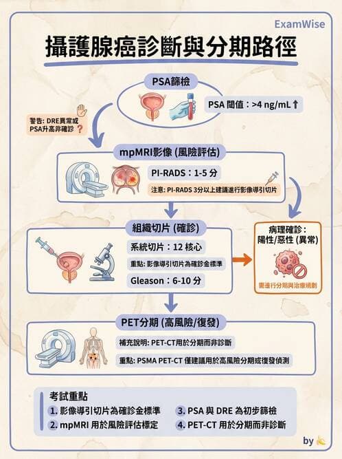 專師 - 攝護腺疾病 - AI 圖文解析預覽