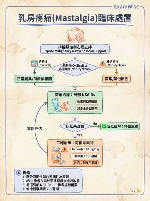 專師 - 乳房外科 - AI 圖文解析預覽